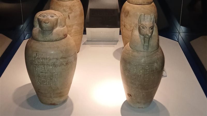 القطع الآثرية المعروضة