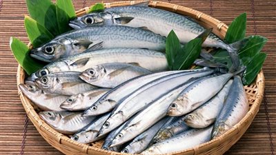 الماكريل المجمد يرتفع 60 جنيهًا، سعر السمك اليوم في سوق العبور