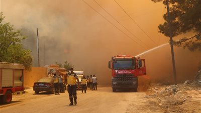 الحرائق تلتهم آلاف الهكتارات من الغابات في سوريا (صور)