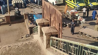 سقوط سيارة محملة بالماشية من معدية في نهر النيل بقنا