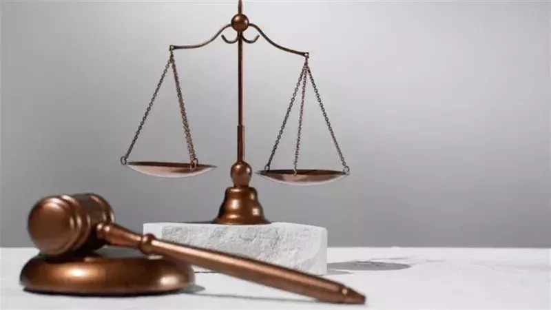 جنايات شبرا الخيمة،فيتو