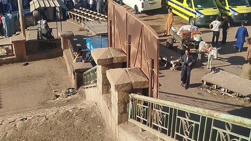 معدية دشنا،فيتو