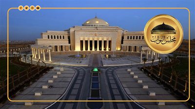  خبير دستوري يدعو إلى وقف 