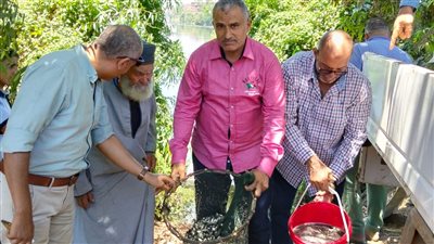 إمداد محافظة الدقهلية بـ 4 ملايين زريعة أسماك (صور)
