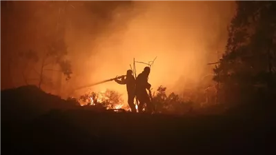  حرائق اللاذقية بسوريا تلتهم الأخضر واليابس، والأمم المتحدة تتدخل 