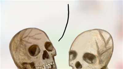 حوادث 2025 في كاريكاتير فيتو