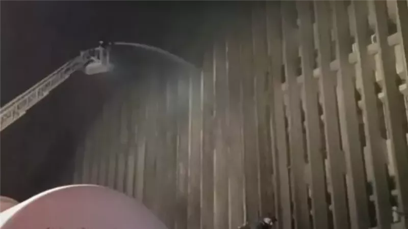 سنترال رمسيس،فيتو