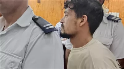 رسالة النيابة لسائق سيارة الموت بالمنوفية: أي فرح وأنت تتعاطي المخدرات (فيديو)