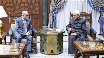 شيخ الأزهر: ندعو الله أن يعجل بنهاية سريعة للمأساة التاريخية في غزة 