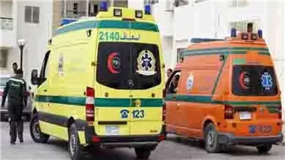 إصابة 6 أشخاص بينهم 3 أطفال بتسمم في احتفال عيد ميلاد بالدقهلية 