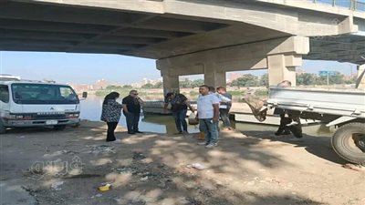 إنزال 600 ألف زريعة بلطي ومبروكة بـ 3 مسطحات مائية بالشرقية (صور)