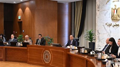 8 قرارات عاجلة لمجلس الوزراء، تعرف عليها 