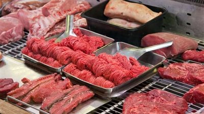  ارتفاع الضاني والبتلو وانخفاض الكندوز، أسعار اللحوم اليوم في الأسواق