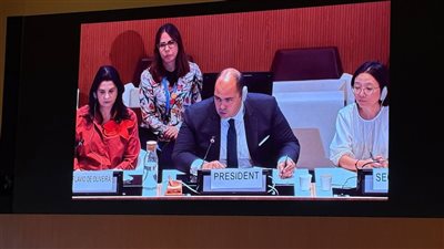 انتخاب محمود ممتاز نائبًا لرئيس الدورة التاسعة لمؤتمر الأمم المتحدة للمنافسة وحماية المستهلك