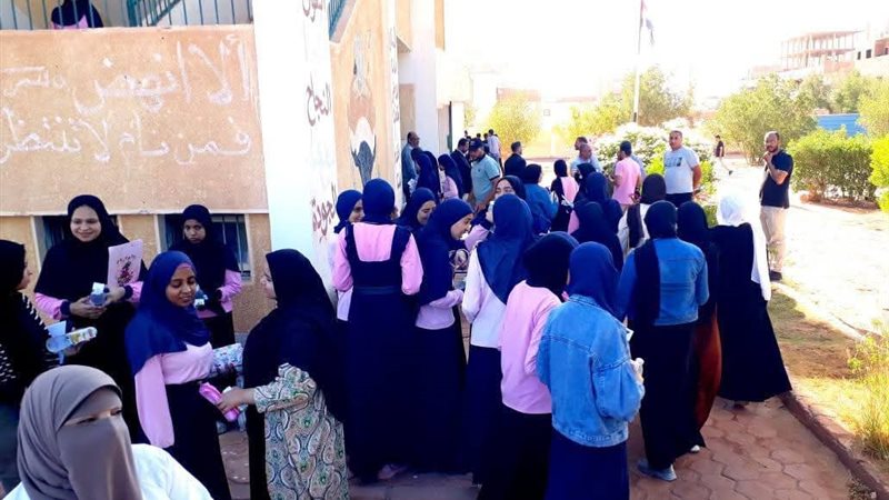 تعليم الوادي الجديد،