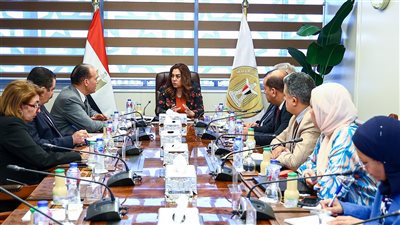 وزيرة التنمية المحلية تتابع الموقف التنفيذي لتطبيق الهوية البصرية في جميع المحافظات