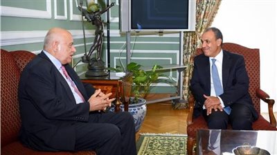 وزير الخارجية يؤكد دعم مصر الكامل لوحدة الأراضي الفلسطينية 