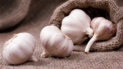 الثوم كنز طبيعي لتعزيز الصحة والمناعة