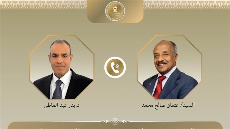 وزيرا خارجية مصر