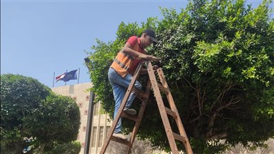 حملات لجهاز التجميل بالإسماعيلية لرفع كفاءة ميادين المحافظة (صور) 