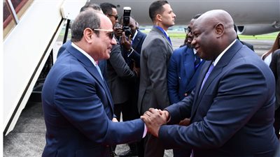 ينطلق اليوم بمشاركة السيسي، تعرف على ملفات اجتماع القمة التنسيقي للاتحاد الأفريقي 