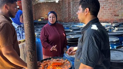 تموين الدقهلية: ضبط 7.5 طن مخلل ودواجن غير مصرح بها في حملات رقابية مكثفة