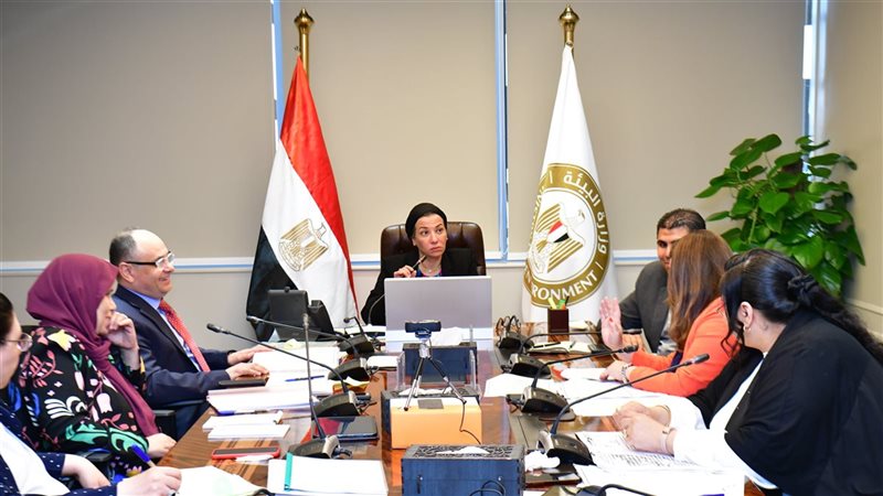 الدكتورة ياسمين فؤاد