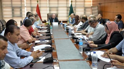 محافظة الدقهلية يعقد اجتماعا لبحث جاهزية المقار الانتخابية (صور) 