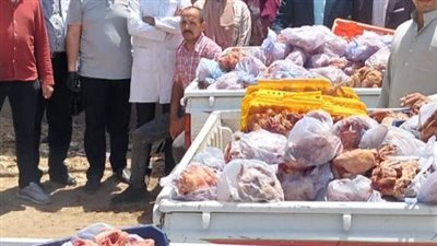 ضبط مجزر فراخ غير مرخص في سوهاج (صور )