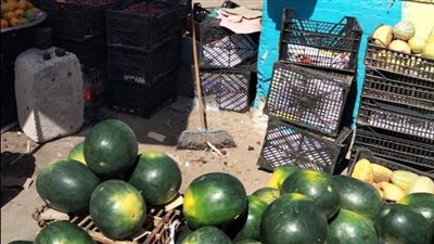 إزالة 44 حالة إشغال بالقنطرة غرب في الإسماعيلية (صور) 