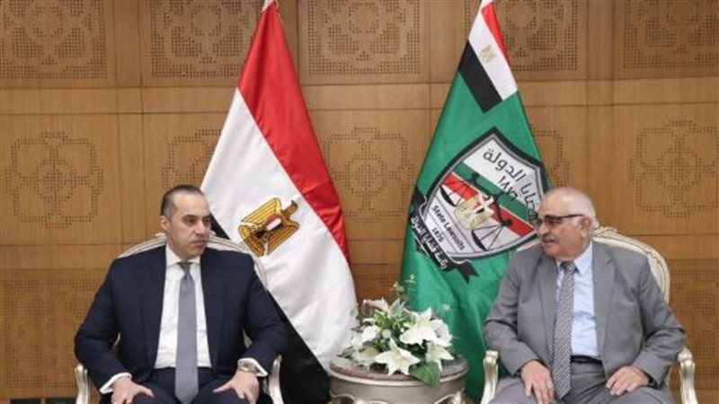 المستشار محمود فوزي