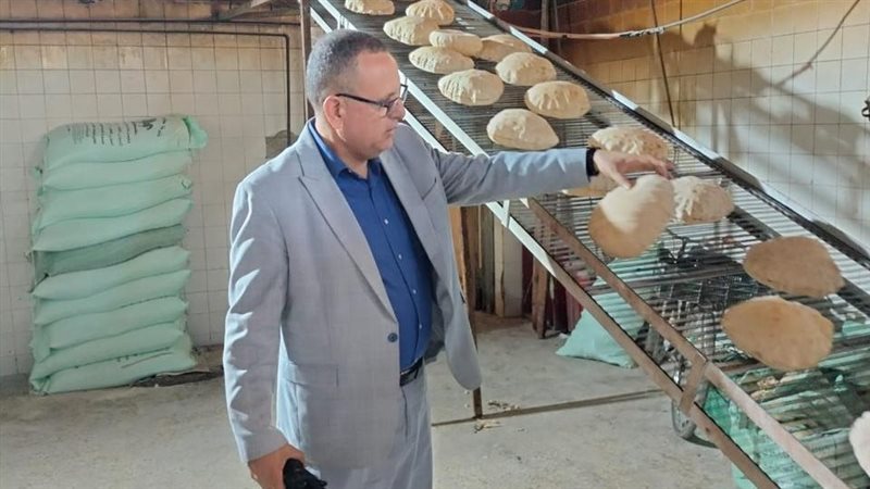 حملات تموينية بالدقهلية،