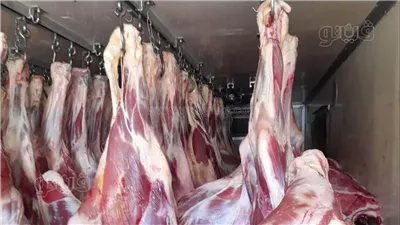  لليوم الثاني على التوالي، انخفاض أسعار اللحوم في الأسواق