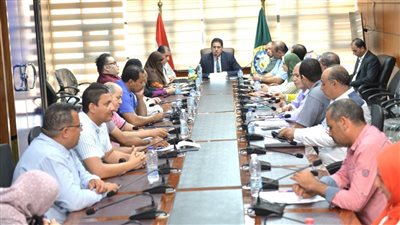 نائب محافظ الدقهلية يستعرض تنفيذ المبادرة الرئاسية 