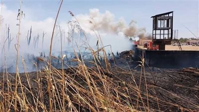 قرارات عاجلة من النيابة العامة للتحقيق بحريق البتروكيماويات بالإسكندرية 