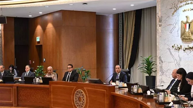 مجلس الوزراء، فيتو