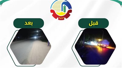 صيانة أعمدة الإنارة بطريق 