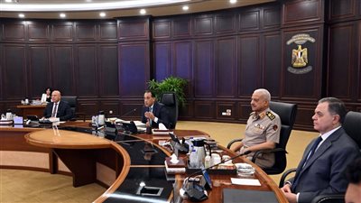 قرارات مجلس الوزراء اليوم، الحكومة تمنح 3 شركات الرخصة الذهبية 