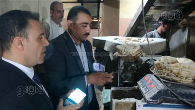 حملات لضبط مخالفات المخابز في الستاموني وبلقاس بالقهلية (صور)