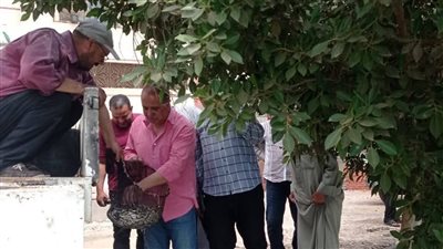 دعما للثروة السمكية، الدقهلية تتسلم 4.25 ملايين زريعة من البلطي والمبروكة (صور)