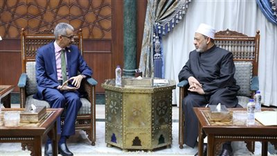 شيخ الأزهر يحذر من خطورة غزو التعليم الأجنبي للمجتمعات العربيَّة 