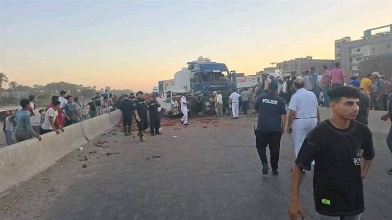 حوادث الطرق، فيتو