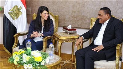 المشاط تناقش مع محافظ مطروح الموقف التنفيذي لمشروعات الخطة الاستثمارية 