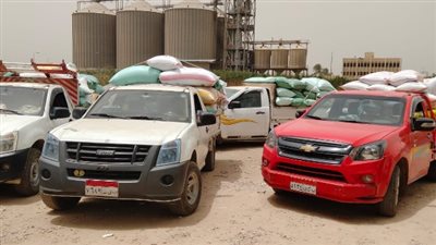 محافظ البحيرة: توريد 317 طن قمح حتى الآن 