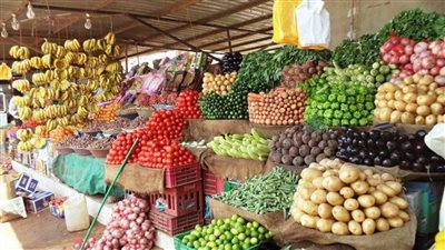 10 سنوات من التغيرات الغذائية.. توقعات عالمية تكشف التحولات الكبرى حتى 2034.. 13% نموًا متوقعًا في استهلاك السلع الزراعية والأسماك.. أفريقيا تكسب أرضًا جديدة في تجارة السكر.. ومصر في صدارة المنتجين