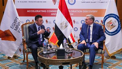 وزير البترول يبحث مع وفد 