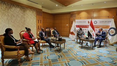 بدوي يبحث مع وزير المناجم بدولة غينيا الاستوائية سبل التعاون في قطاع التعدين 