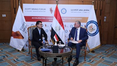 وزير البترول يبحث مع شركة عالمية إنشاء مصنع خلايا شمسية 