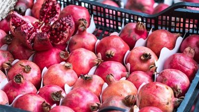 الرمان يحتل صدارة الفواكه المصرية المصدرة خلال الأسبوع الماضي