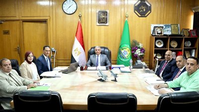 الموافقة على 15 مشروعًا جديدًا بالإسماعيلية باستثمارات تتجاوز 32.8 مليون دولار